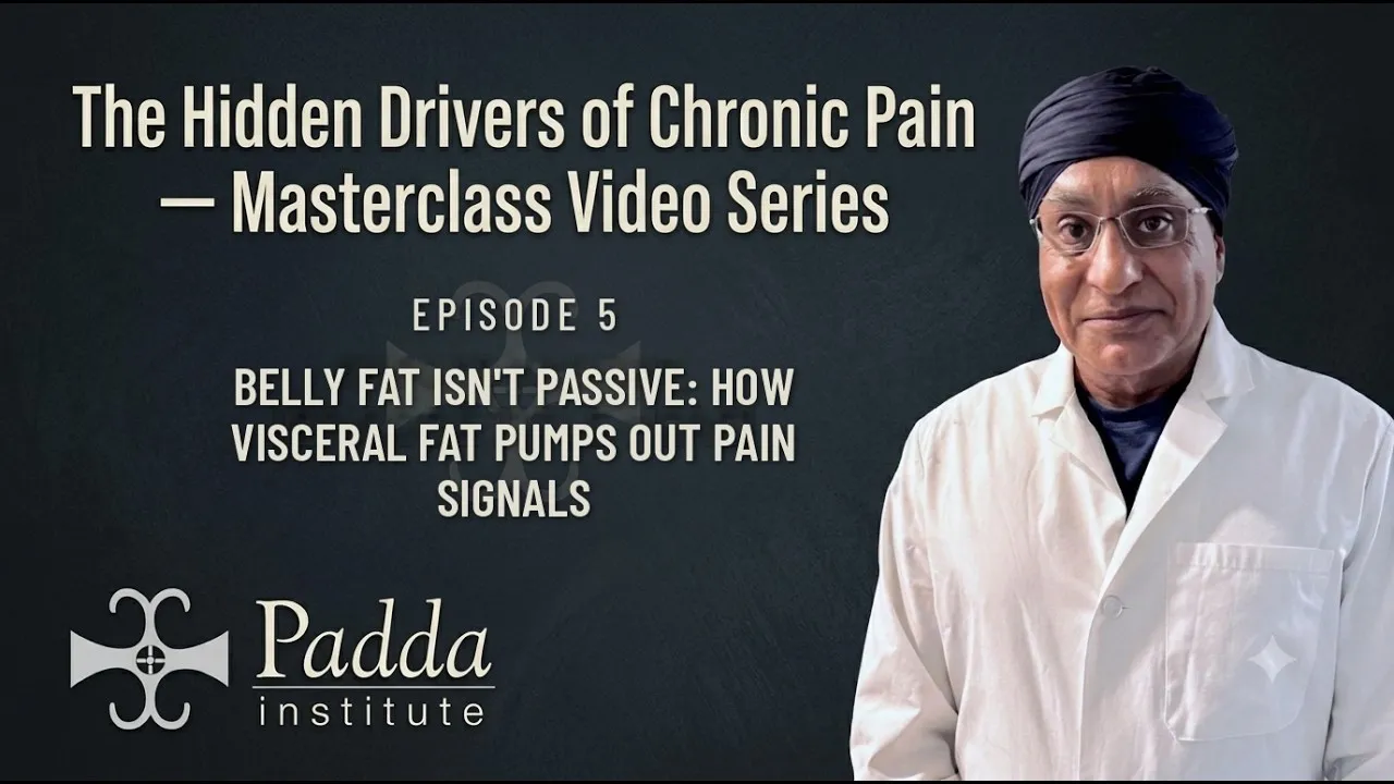 Belly Fat Isn't Passive: How Visceral Fat Pumps Out Pain Signals — video thumbnail